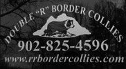 Double "R" Border Collies